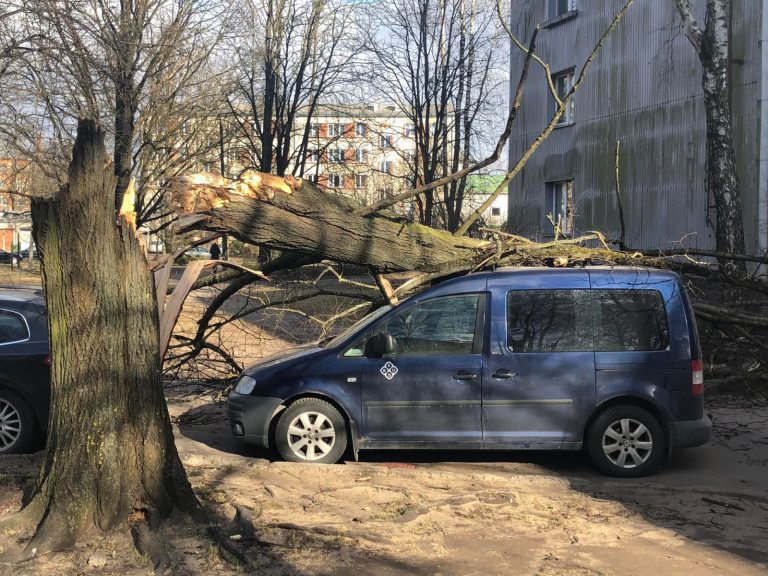 «Ветер сдул теннисный корт и повалил деревья»: в соцсетях публикуют видео «песчаных бурь»