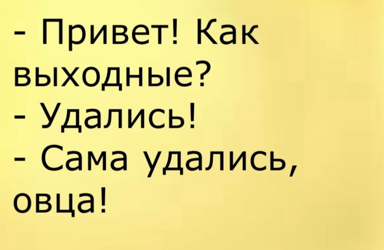 Юмор за день и овца