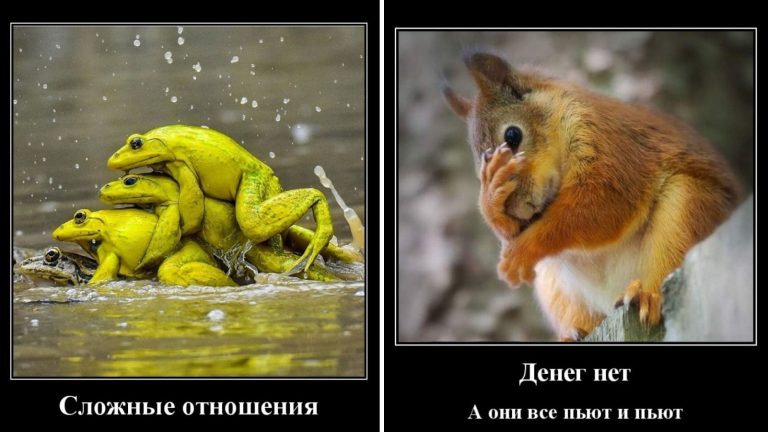 Новые демотиваторы и сложные отношений