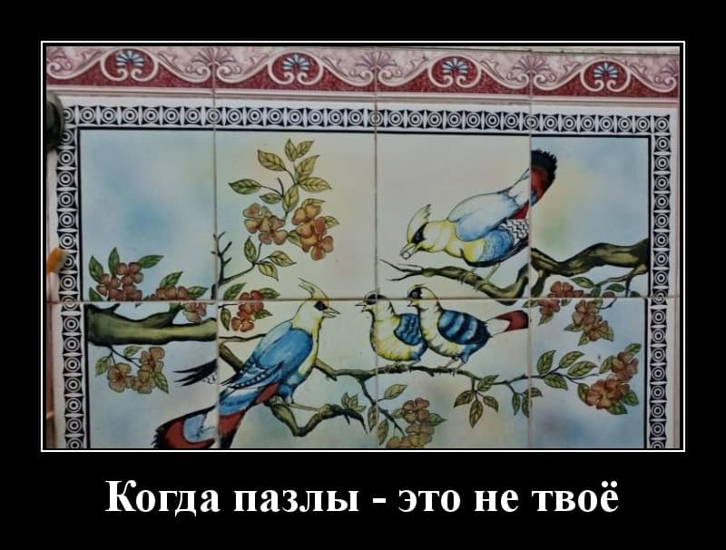 Новые демотиваторы и когда пазлы это не твое