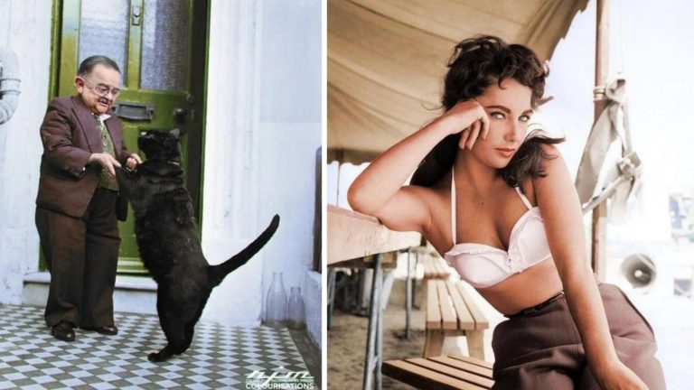 Памятные снимки: 20 архивных фотографий, сделанных в разные периоды