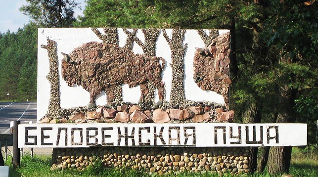 В Беловежской пуще проходят переговоры Киева и Москвы