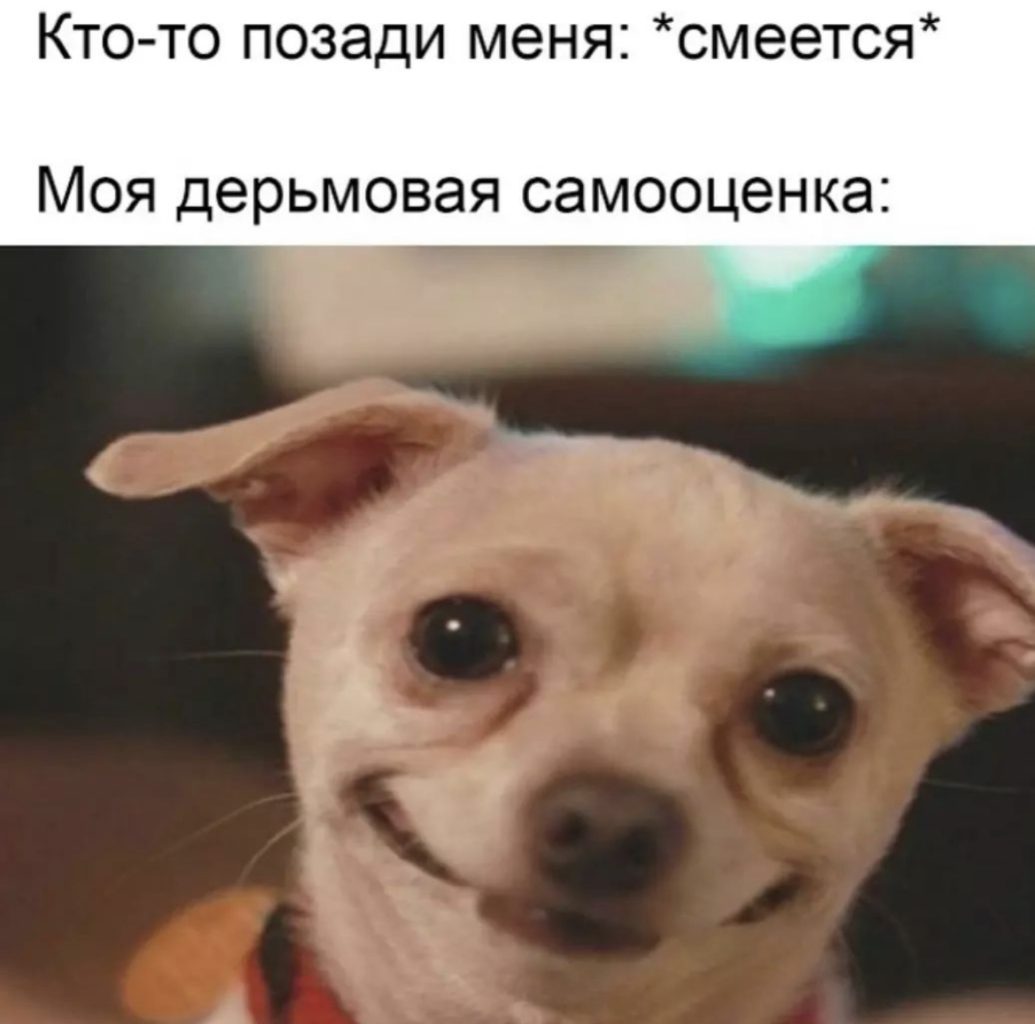 Юмор за день и 17:43