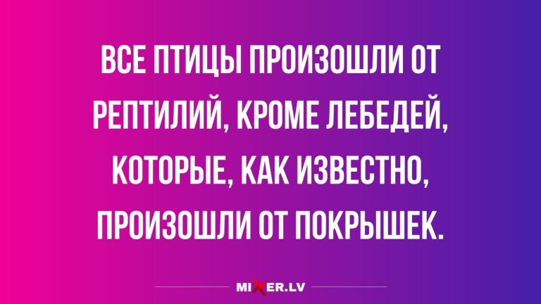 Юмор за день и лебеди