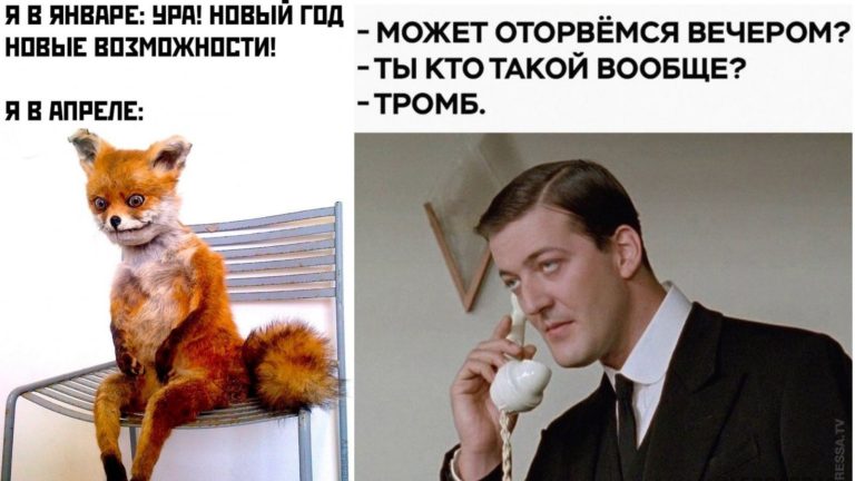 Фото приколы на 1 апреля и оторвемся вечерком