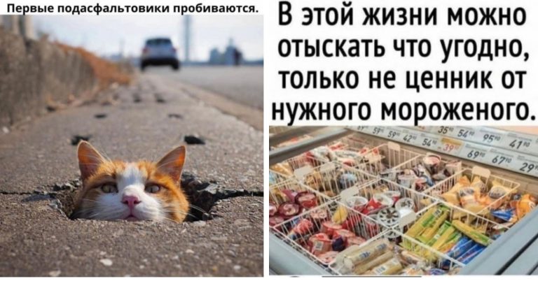 Прикольные картинки в воскресение и найти ценник от мороженного