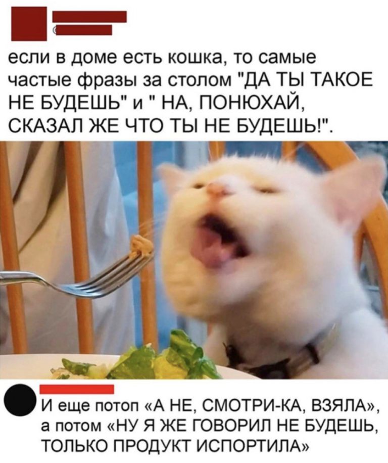 Юмор за день и гладиатор