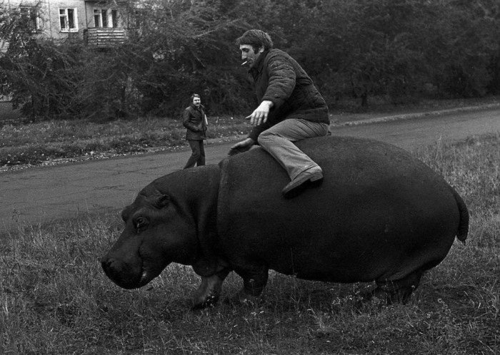 Без подписи и не поймешь, что происходит на этих исторических фото