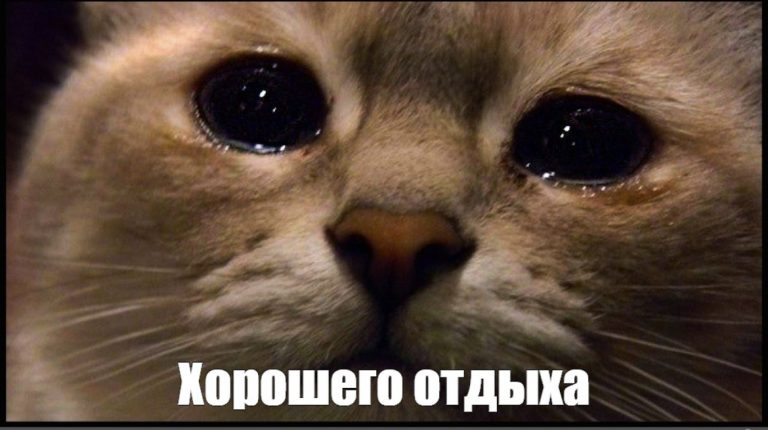 Отключаем голову: что поможет расслабиться разным знакам Зодиака