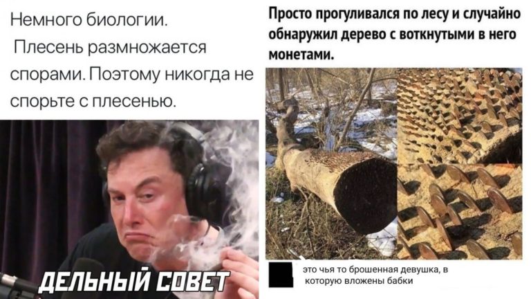 Прикольные картинки с надписями и чья то бывшая