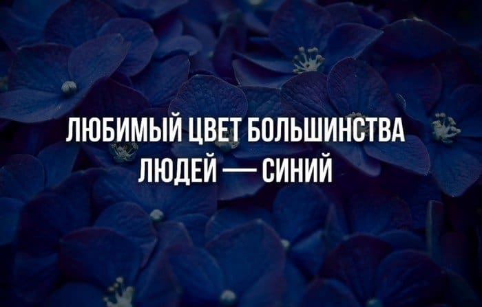 А вы знали что? 29 фактов, которых вы могли не знать