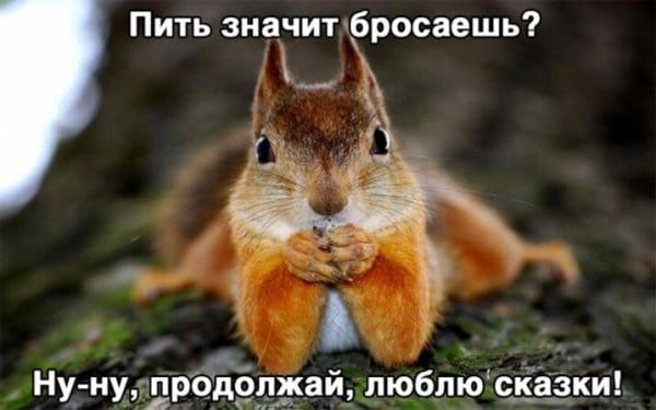 Пост алкогольного юмора на выходные и любовь к сказкам