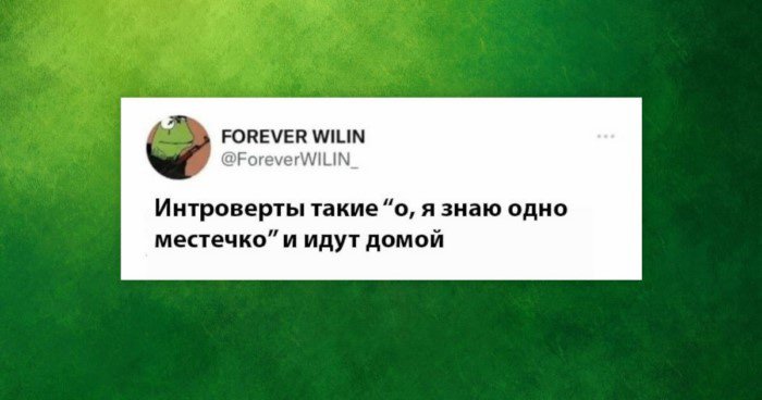 Шутки и мемы про интровертов их проблемы и коммуникацию