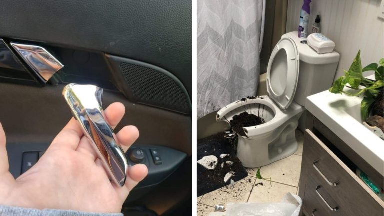 15 понедельников от неудачников, после которых им уже ничего не страшно
