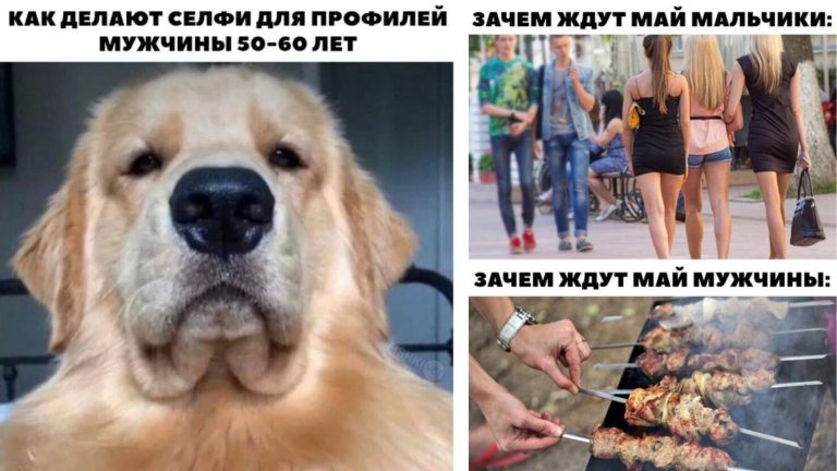 Юмор и мемы про настоящих мужчин, в которых многие узнают себя