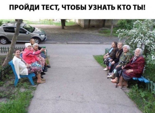 Прикольные картинки с надписями и пройди тест, чтобы узнать кто ты
