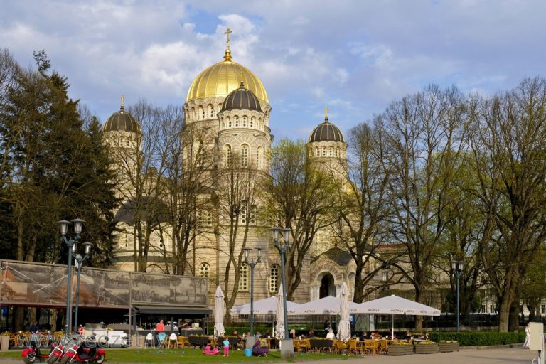 В преддверии Большого субботника в Риге посажена голландская липа