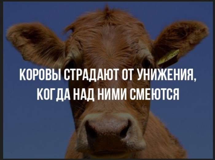 30 фактов о нашем мире, которые звучат крайне сомнительно, но являются чистой правдой