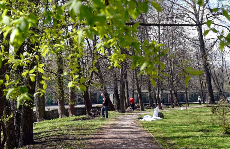 Большой субботник — вклад в защиту окружающей среды