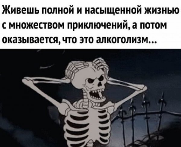 Пост алкогольного юмора на выходные и насыщенная жизнь