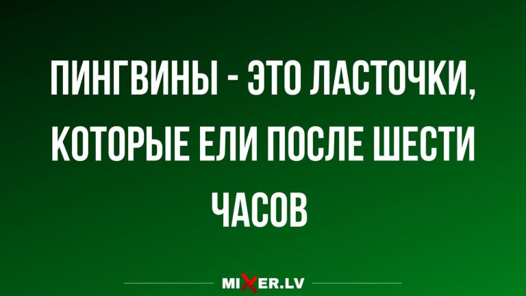 Юмор за день и пингвины