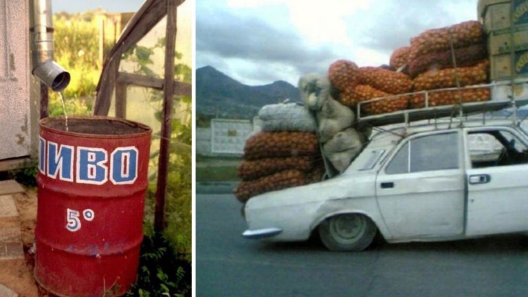 Сорняки бессмертны! Шутки и мемы про начало дачного сезона