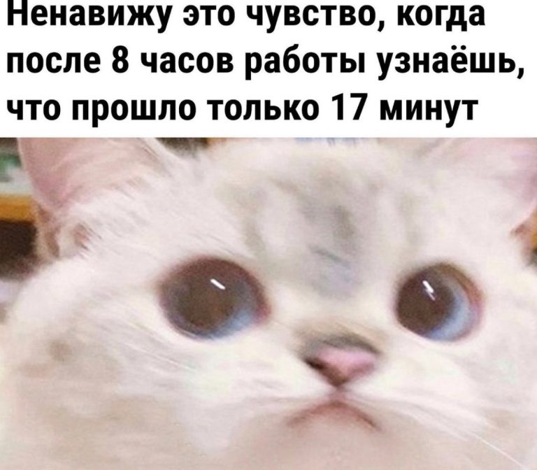 Юмор за день и 17 минут