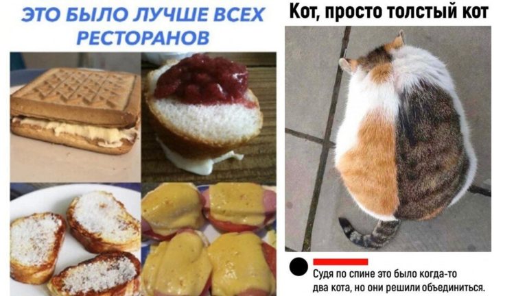 Прикольные картинки с надписями и лучший из ресторанов