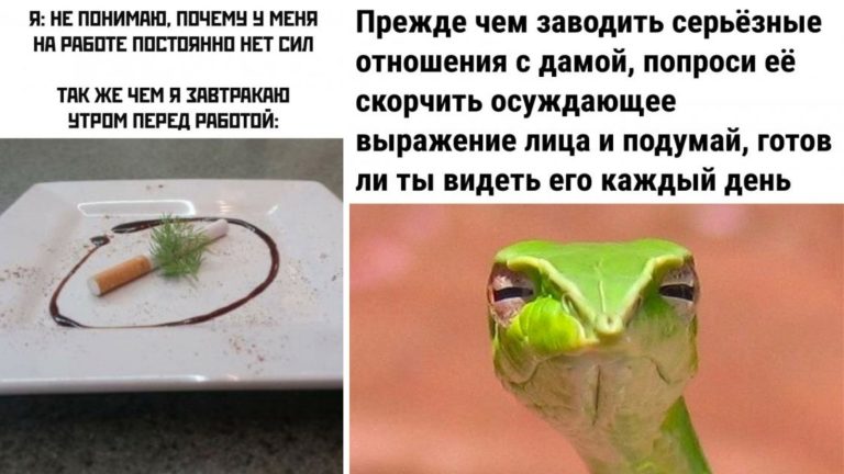 Прикольные картинки с надписями и осуждающее выражение лица