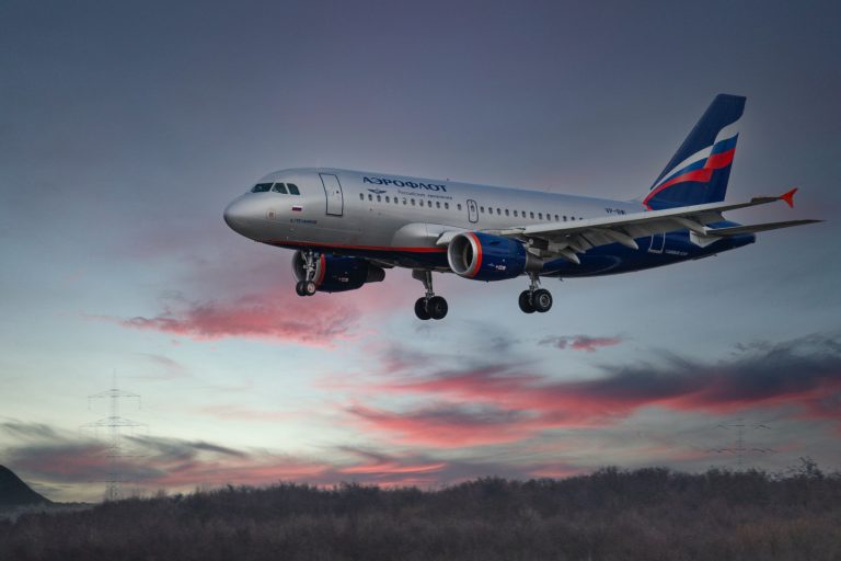На рейсе «Аэрофлота» погибла собака