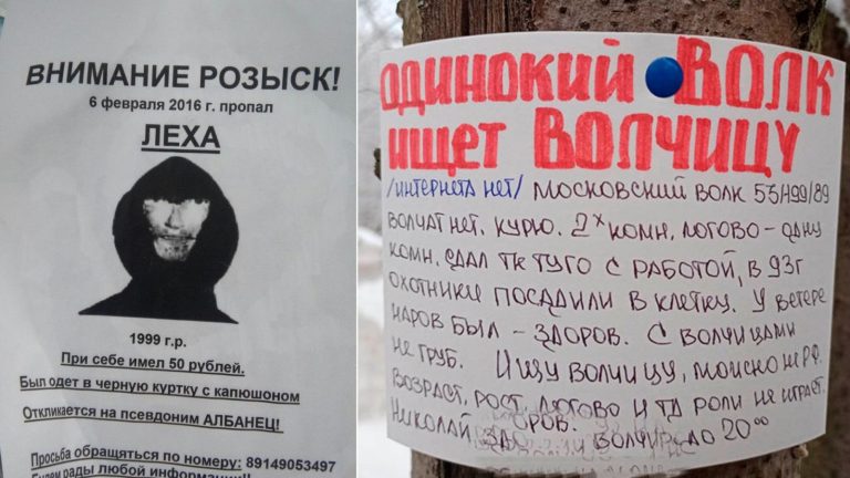 17 смешных объявлений, мимо которых просто так не пройдешь