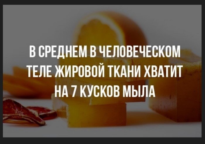 17 познавательных фактов, которые позволят расширить кругозор