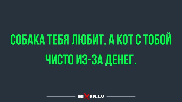 Юмор за день и почему кот с вами
