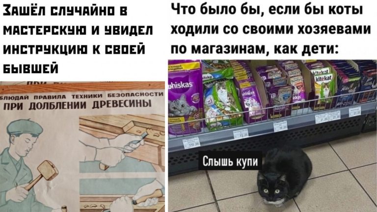 Прикольные картинки с надписями и если бы коты ходили по магазинам