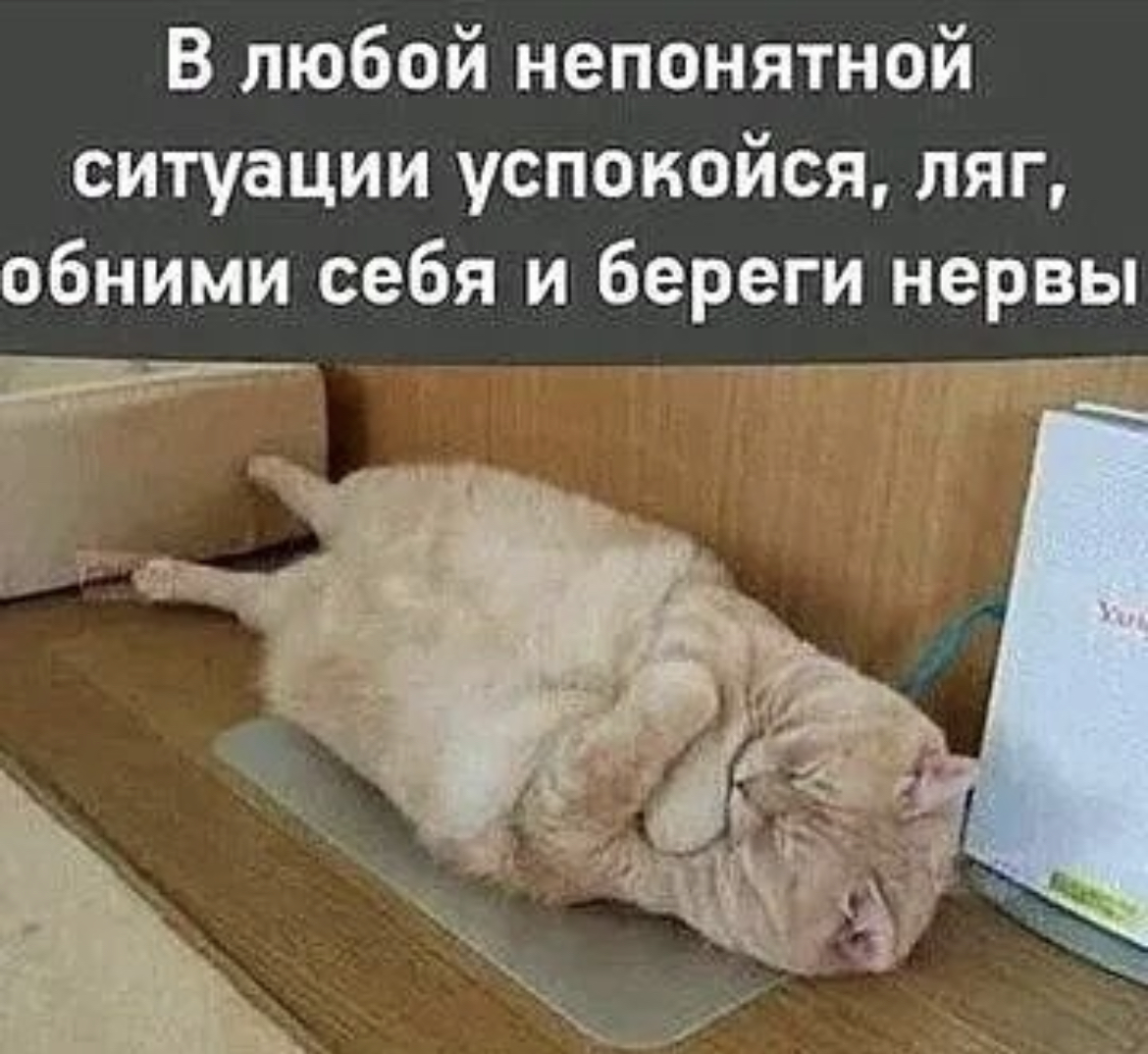 Просыпайся любимая картинки