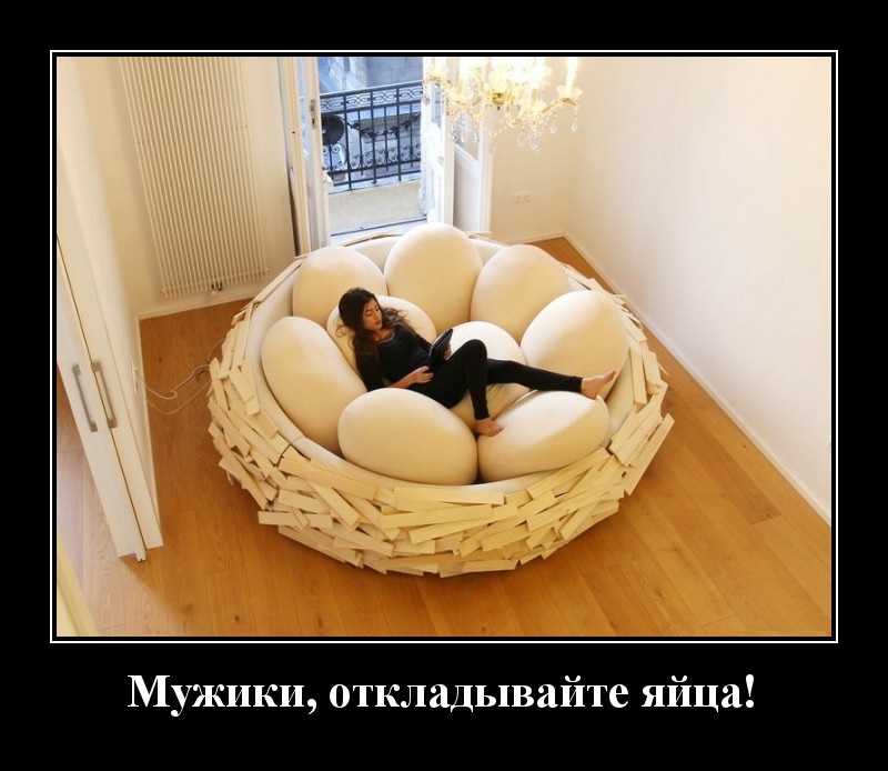 Новые демотиваторы и отложенные яйца