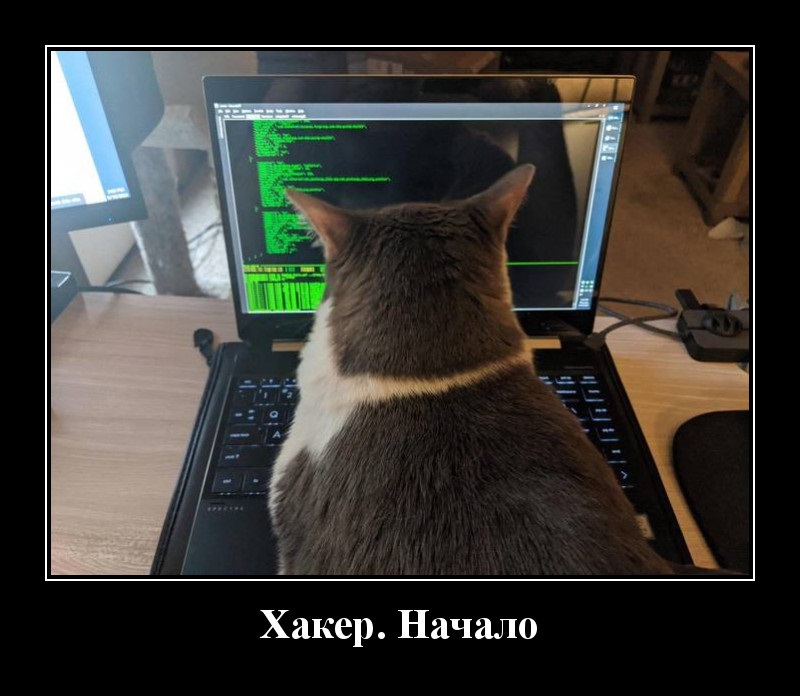 Новые демотиваторы и начало хакерской карьеры