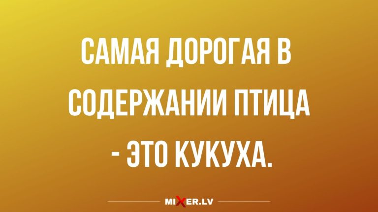 Юмор за день и самая дорогая птица