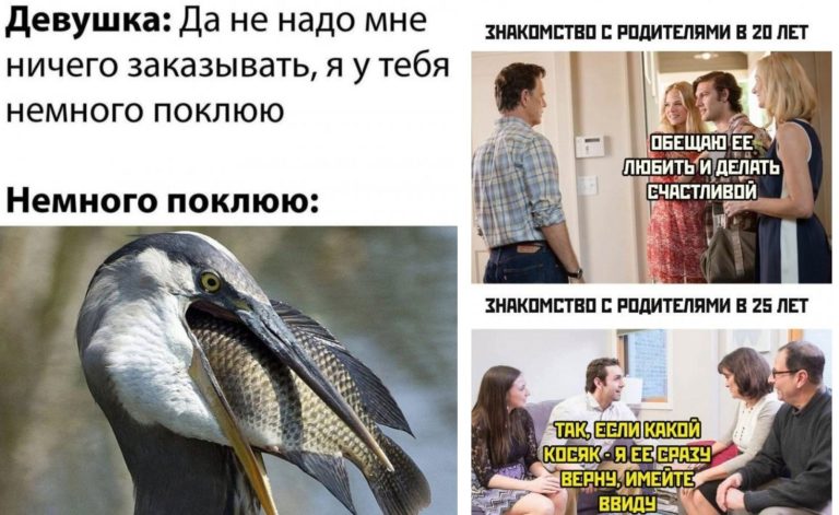Прикольные картинки с надписями знакомство с родителями