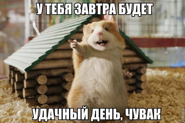 Самый удачный день в сезоне Близнецов для каждого знака зодиака
