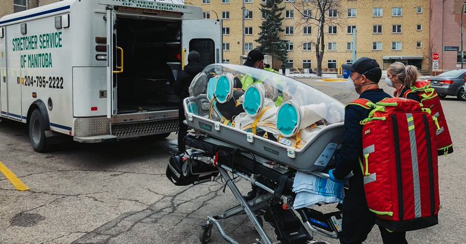 ВОЗ: вирус оспы обезьян не успел мутировать. Эксперты пытаются понять причины вспышки