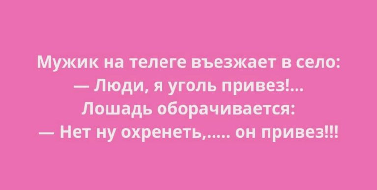 Юмор за день и лошадь оборачивается
