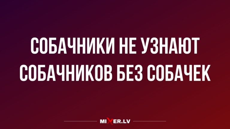 Юмор за день и собачники