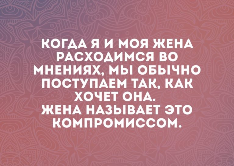 Юмор за день и скотч-терьер
