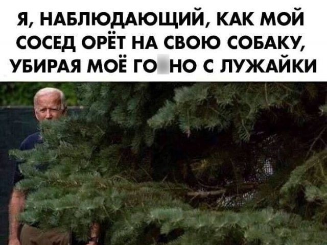 Коллекция черного юмор и соседская лужайка
