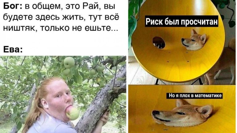Прикольные картинки с надписями и просчитанные риски