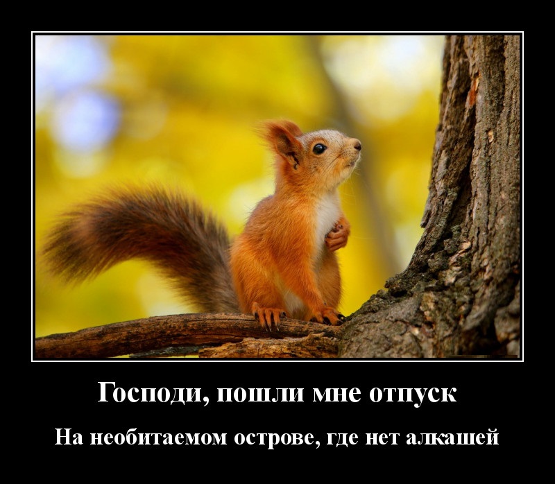 Новые демотиваторы и необитаемый остров
