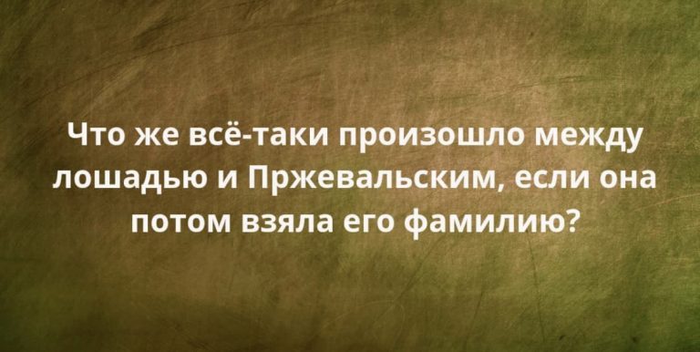 Юмор за день и нидерландский хип-хоп