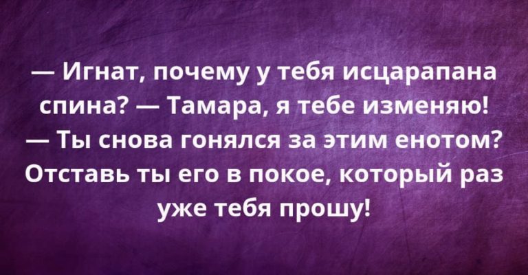 Юмор за день и енот