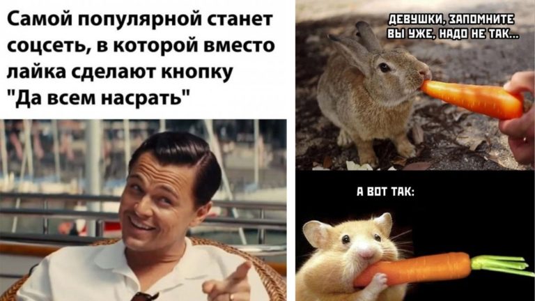 Прикольные картинки с надписями и популярная соцсеть